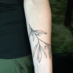 Tattoos - Olive Branch. Instagram @michaelbalesart - 123569